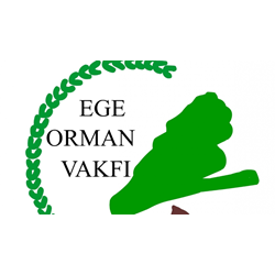 10 ADET EGE ORMAN FİDAN BAĞIŞI